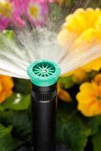 PS Ultra spray