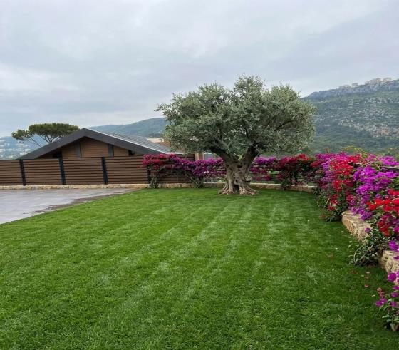 Landscaped lawn and garden