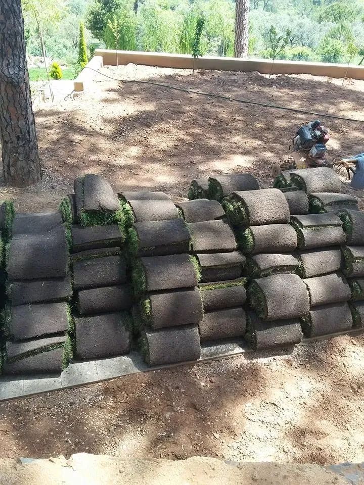 Before: turf rolls stacked on bare soil