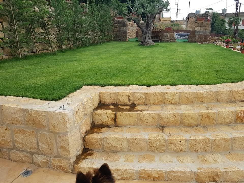 Curved stone steps leading up to the lawn