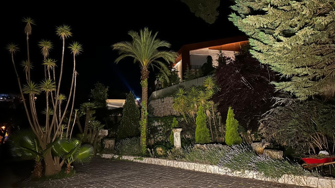 Lit palms and cobblestone driveway